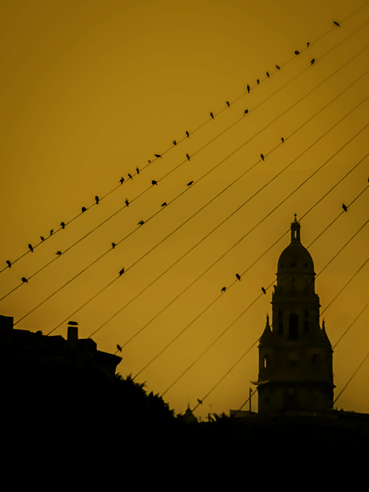 Ximena Vallejos Photographer