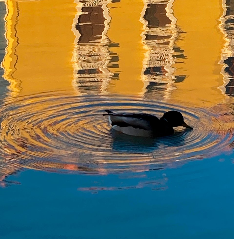 Ximena Vallejos Photographer