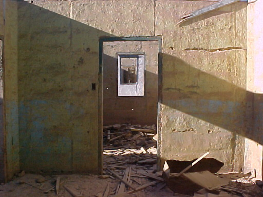 Ximena Vallejos Photographer